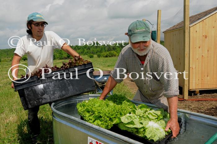 Farm-Garden 30-15-02313