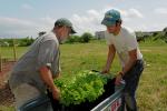 Farm-Garden 30-15-02314