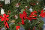 Holiday-Christmas 50-05-01853