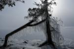 Lake Champlain 53-00-10185