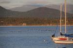 Lake Champlain 53-00-10223