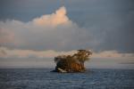 Lake Champlain 53-00-10230