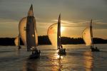 Sports-Sail 75-45-09130