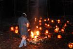 Holiday-Halloween 50-15-00222