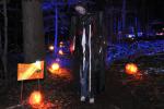 Holiday-Halloween 50-15-00245