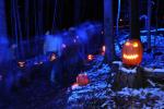 Holiday-Halloween 50-15-00248