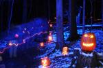 Holiday-Halloween 50-15-00249