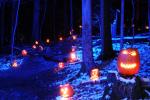 Holiday-Halloween 50-15-00250