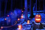 Holiday-Halloween 50-15-00251