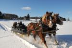 Shelburne Farms Winterfest 30-24-00006