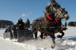 Shelburne Farms Winterfest 30-24-00009