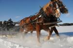 Shelburne Farms Winterfest 30-24-00017