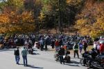 Dummerston Apple Pie Fest 65-29-00046