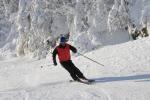 Sports-Ski 75-55-12659