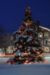 Holiday-Christmas 50-05-01950