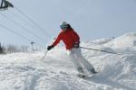 Sports-Ski 75-55-12878