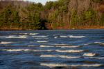 Lake Champlain 53-00-10302