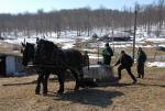 Maple Sugaring 30-20-11811