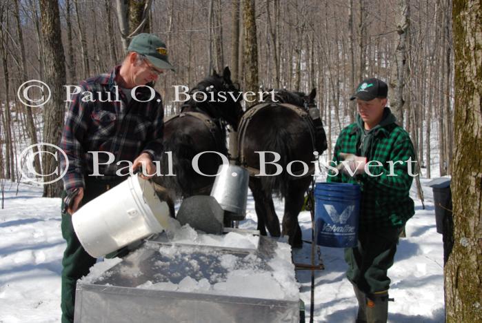 Maple Sugaring 30-20-11820