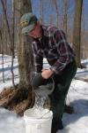 Maple Sugaring 30-20-11822