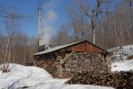 Maple Sugaring 30-20-11831