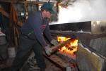 Maple Sugaring 30-20-11833