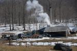 Maple Sugaring 30-20-11843