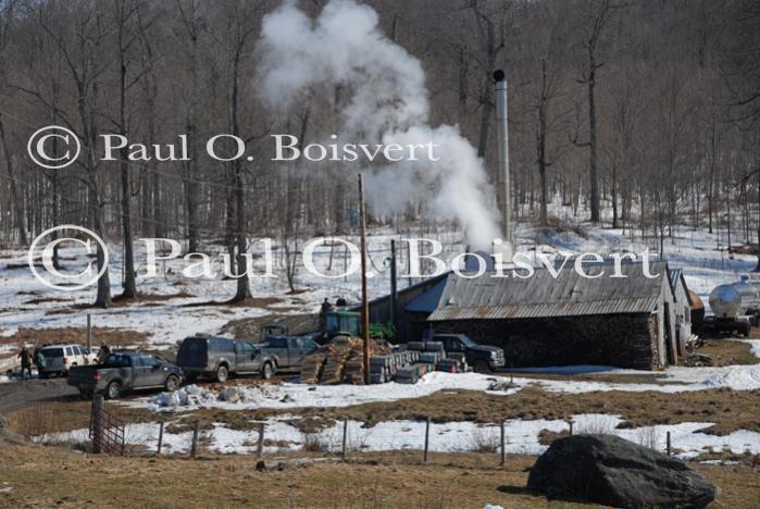 Maple Sugaring 30-20-11843