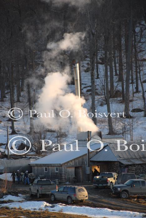 Maple Sugaring 30-20-11846