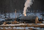 Maple Sugaring 30-20-11847