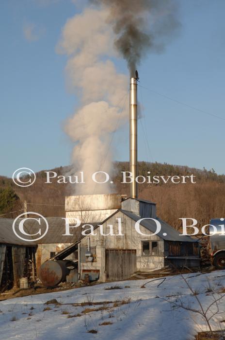 Maple Sugaring 30-20-11866