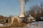 Maple Sugaring 30-20-11867