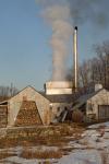 Maple Sugaring 30-20-11868