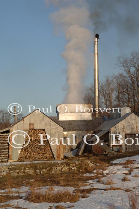 Maple Sugaring 30-20-11868