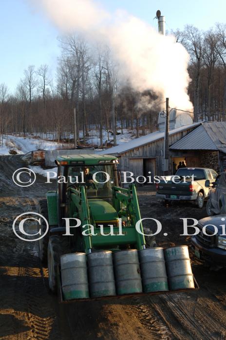 Maple Sugaring 30-20-11878