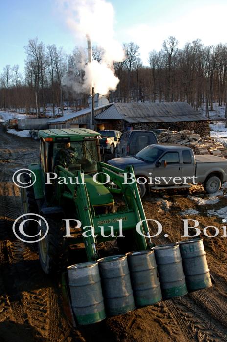 Maple Sugaring 30-20-11879