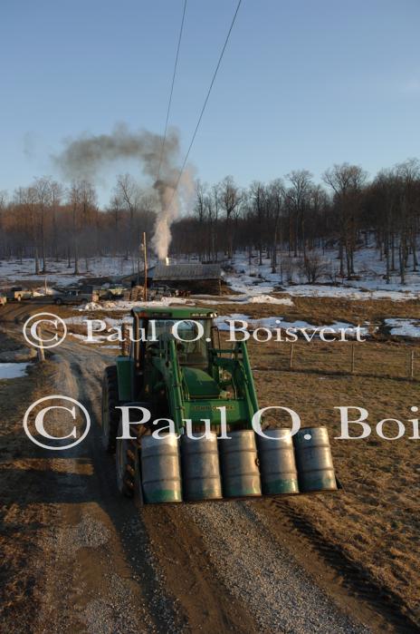 Maple Sugaring 30-20-11882