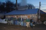 Maple Sugaring 30-20-11887