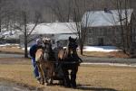 Maple Sugaring 30-20-11892