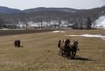 Maple Sugaring 30-20-11893