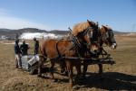 Maple Sugaring 30-20-11894