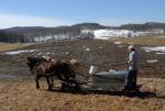 Maple Sugaring 30-20-11897