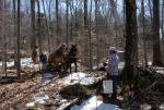 Maple Sugaring 30-20-11901