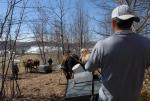 Maple Sugaring 30-20-11904