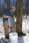 Maple Sugaring 30-20-11918