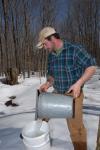 Maple Sugaring 30-20-11919