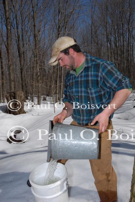 Maple Sugaring 30-20-11919