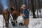 Maple Sugaring 30-20-11922