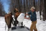 Maple Sugaring 30-20-11923