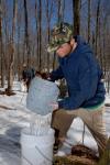 Maple Sugaring 30-20-11925